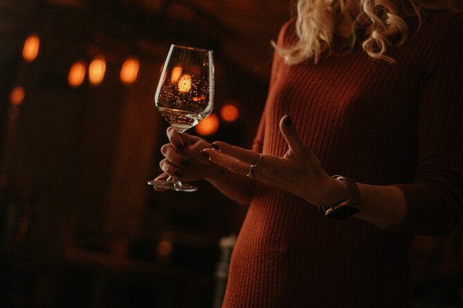 Food and Wine Tasting in Budapest City Center with Sommelier - Who Should Book This Wine Tasting in Central Budapest