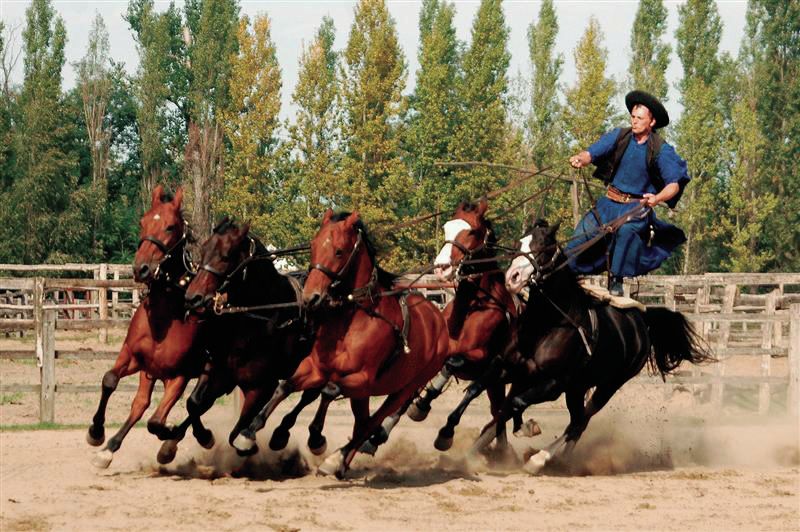 From Budapest: Full-Day Puszta Tour with Lunch and Show - Key things to know before you go