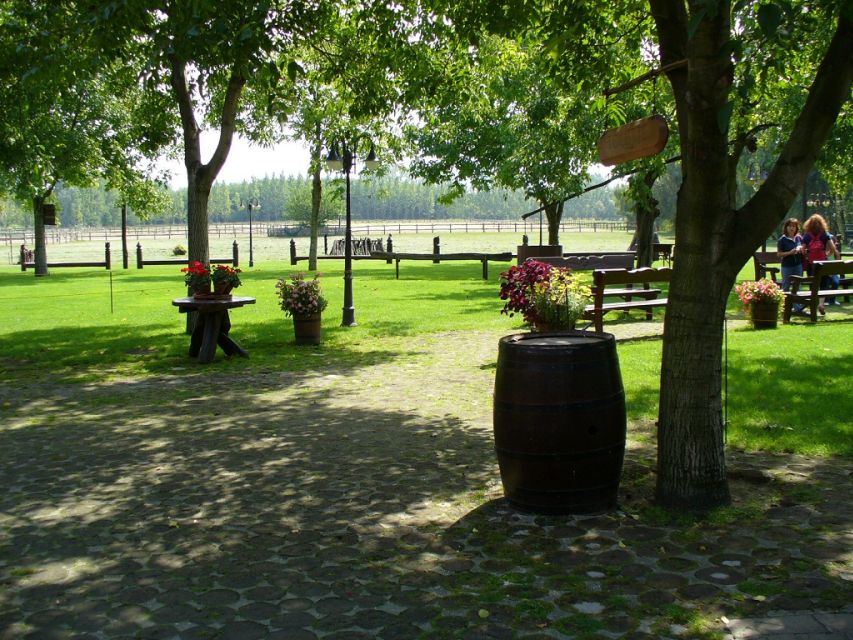 From Budapest: Full-Day Puszta Tour with Lunch and Show - Kecskemét first: a smarter start than jumping straight to the farm