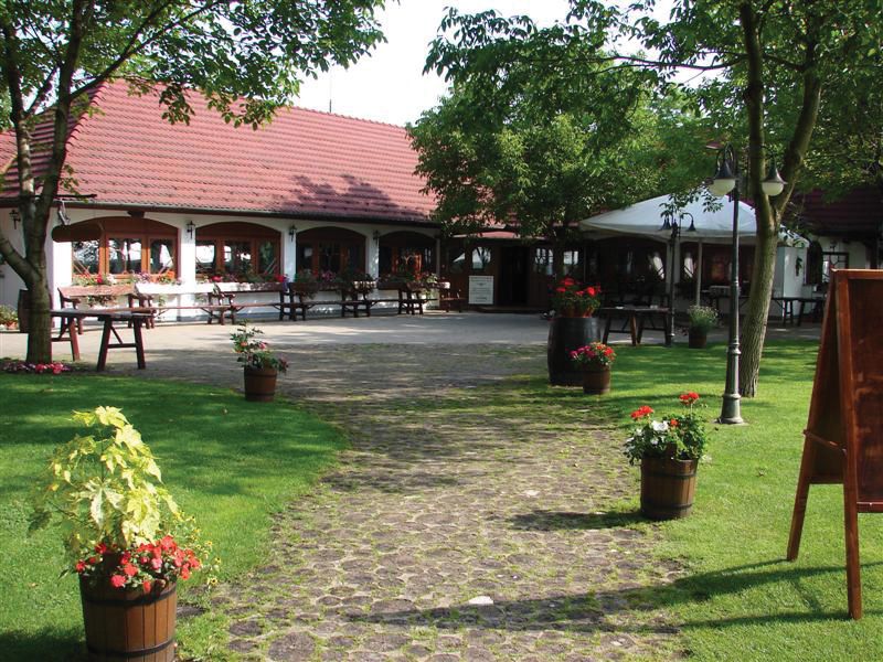 From Budapest: Full-Day Puszta Tour with Lunch and Show - The Lajosmizse ranch: pálinka, stables, and the real horse culture feel