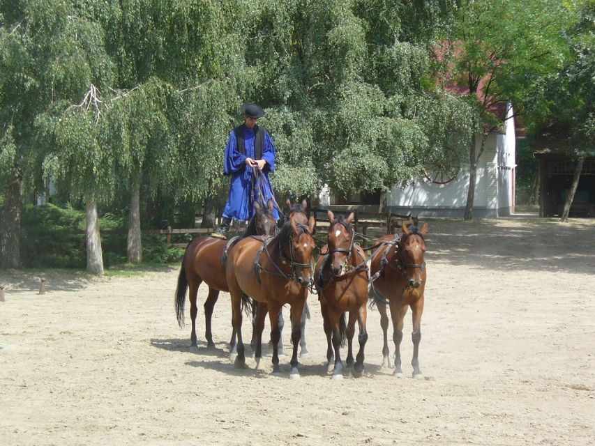 From Budapest: Full-Day Puszta Tour with Lunch and Show - Lunch with wine: where the meal fits into the day