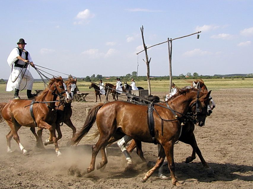 From Budapest: Full-Day Puszta Tour with Lunch and Show - Price and value: does $133 make sense for this kind of day?