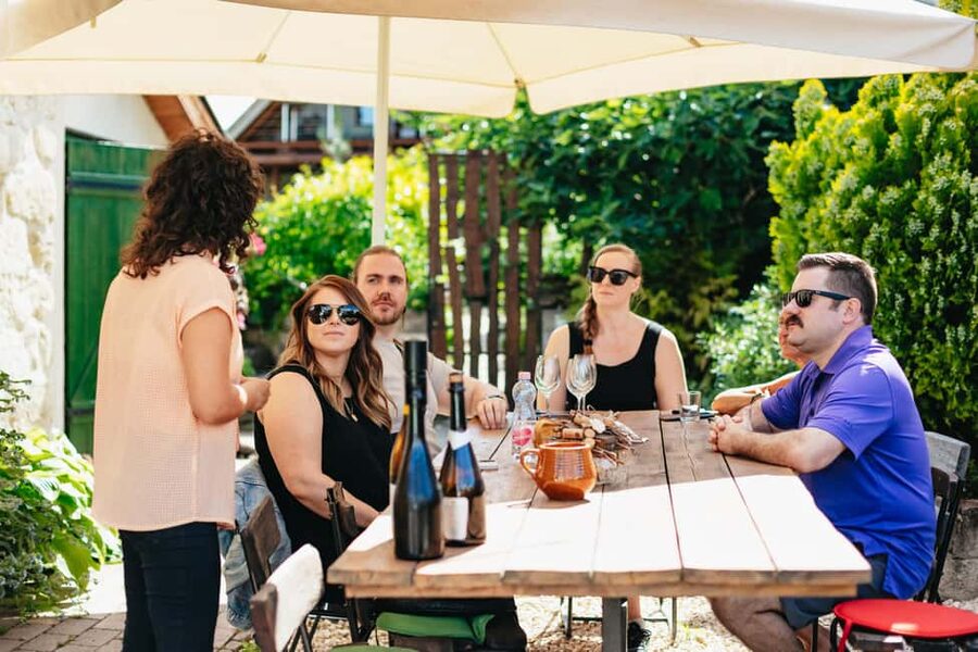 From Budapest: Half-Day Countryside Wine Tour with Meal - Key highlights at a glance