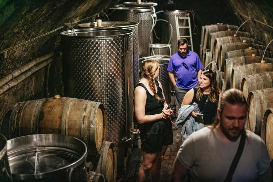 From Budapest: Half-Day Countryside Wine Tour with Meal - Group size and the vibe: small, social, and not overly formal
