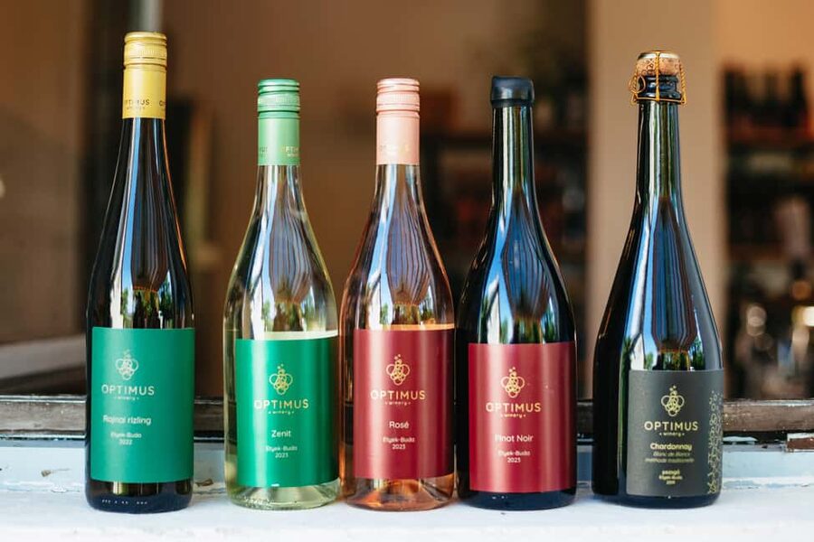 From Budapest: Half-Day Countryside Wine Tour with Meal - Price and value: what $96 actually buys you
