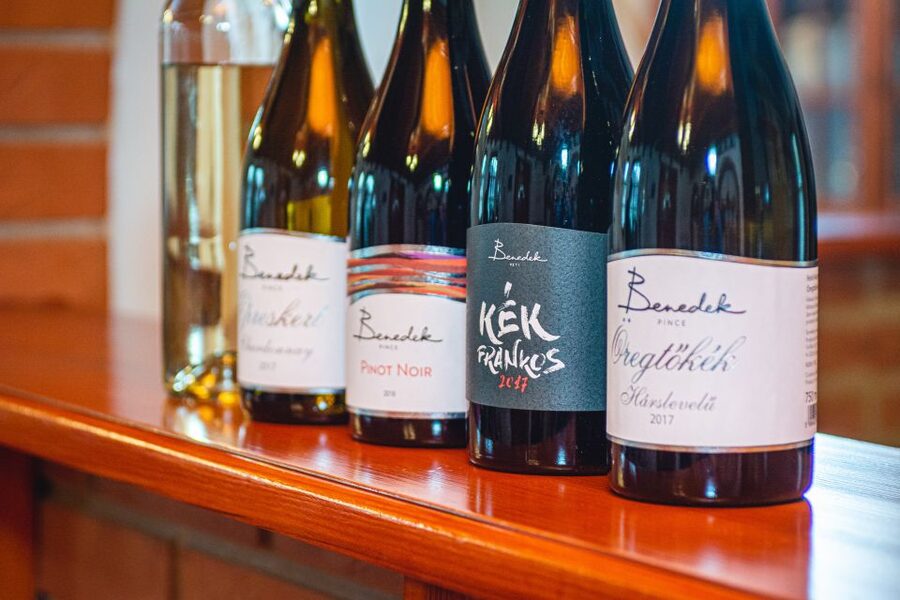 From Budapest: Mátra Hills Wine Tour - The Two-Winery Plan and How the Tastings Work