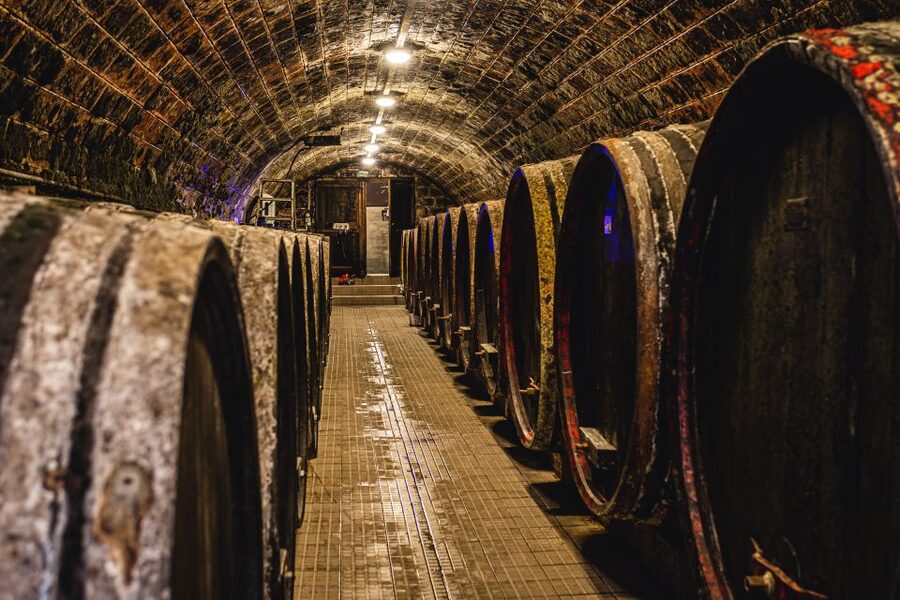 From Budapest: Mátra Hills Wine Tour - Price and Value: What $341 Gets You (and Why It’s Not Crazy)
