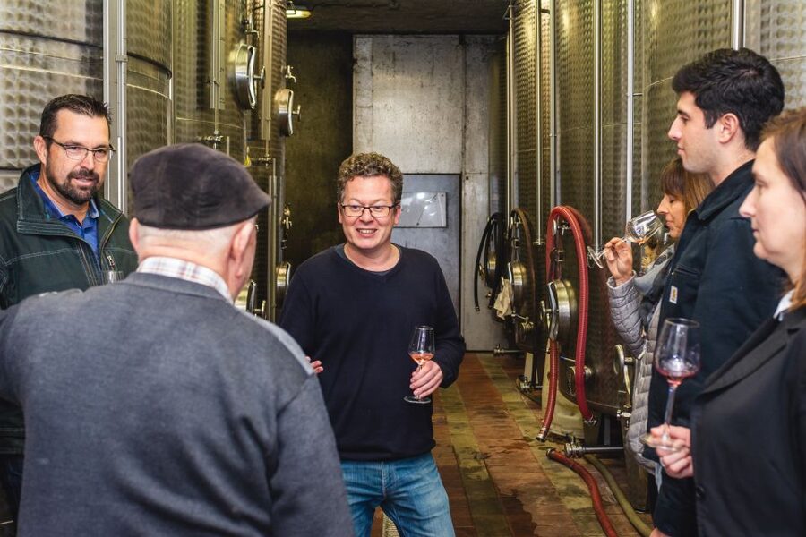 From Budapest: Mátra Hills Wine Tour - Who This Tour Fits Best