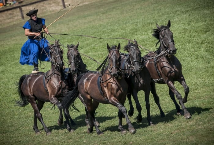 From Budapest: Puszta Horse Show and Countryside Visit - Leaving Budapest behind on an air-conditioned coach