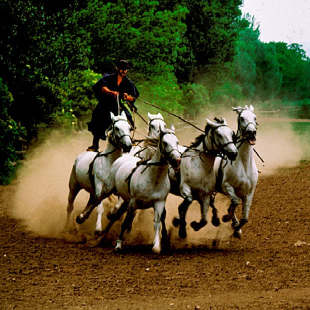 From Budapest: Puszta Horse Show and Countryside Visit - Lajosmizse farm time: the horse show, stables, and carriage ride