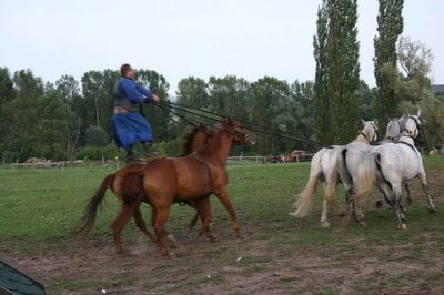 Puszta Horse Show and Countryside Visit