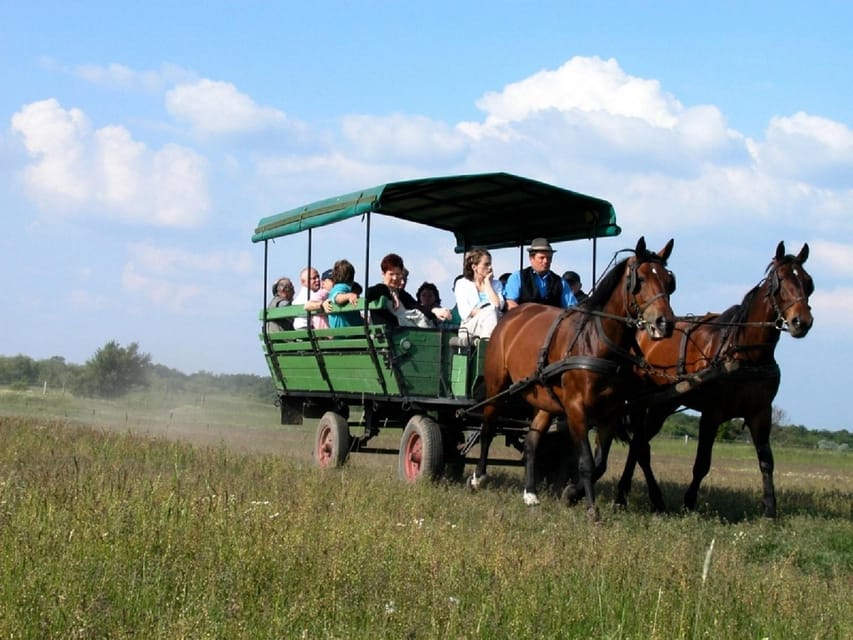 From Budapest: Puszta Horse Show and Countryside Visit - Price and what $133 buys you in 8 hours
