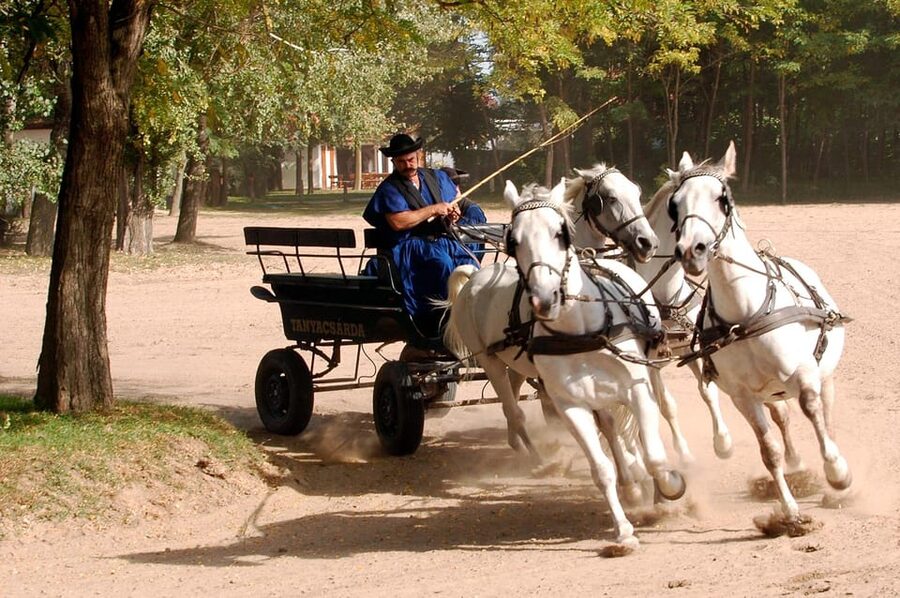 From Budapest: Puszta Horse Show and Countryside Visit - Who should book, and who might skip this one
