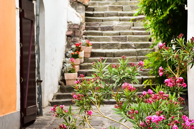 From Budapest: Szentendre Tour - Getting the language right: what to expect on board