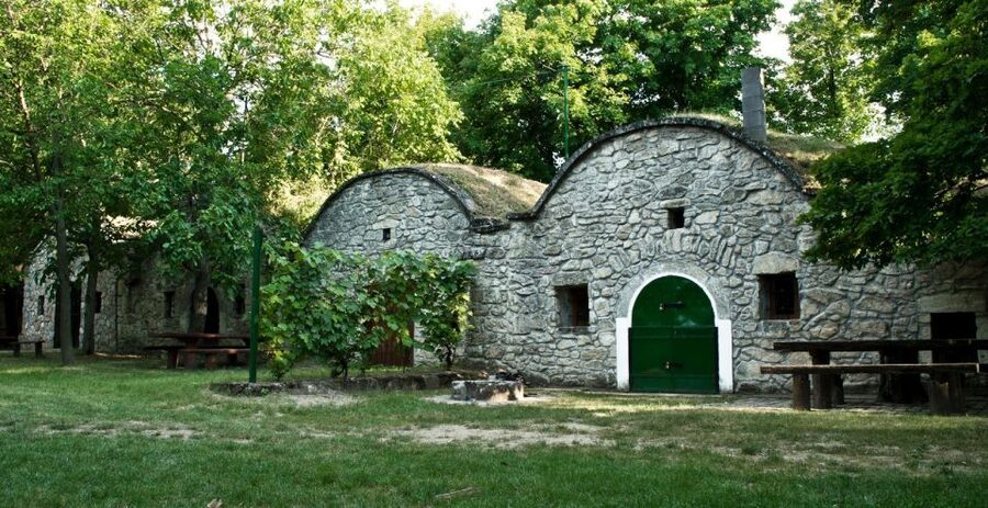 From Budpaest: Páty Wine Village Tour with Tastings - Timing Reality: Plan for a Smooth Day, Not a Perfect Minute