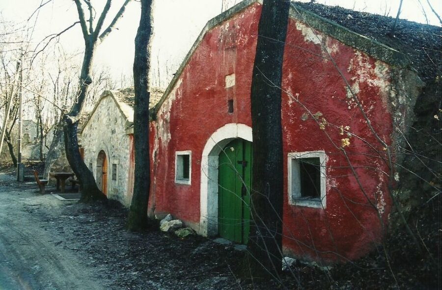 From Budpaest: Páty Wine Village Tour with Tastings - Meeting Up in Central Pest, Then Rolling Out With a Small Group