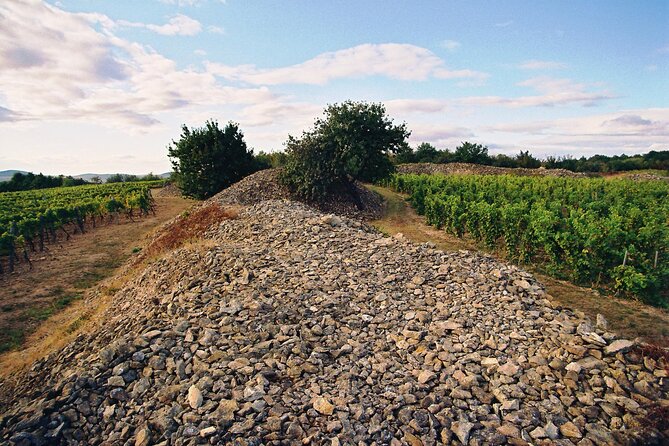 Full-Day Custom Tokaj Wine Tour - Key Highlights You Should Know Before Booking