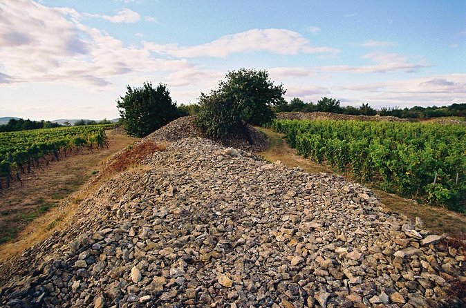 Full-Day Custom Tokaj Wine Tour - Stop 3: Nobilis Udvarház with Sarolta Bárdos, High Vineyards and Sparkling Choices