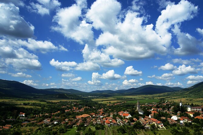 Full-Day Custom Tokaj Wine Tour - What Private and Custom Actually Changes for Your Wine Day