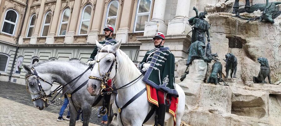 German speaking guided walking tour in Budapest - Who Should Book This Tour (and Who Might Skip)