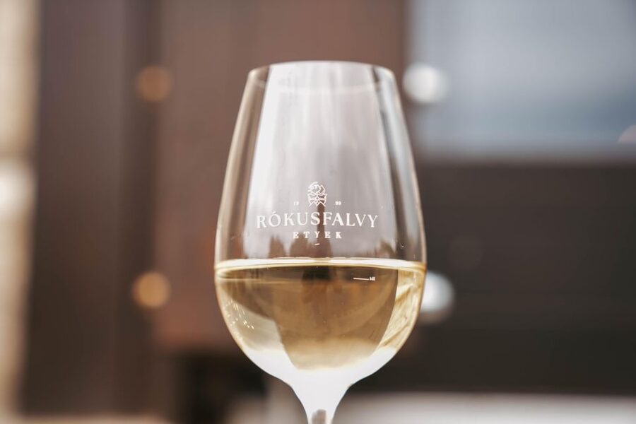 Guided wine tasting at Rókusfalvy Estate - Key Highlights Worth Showing Up For