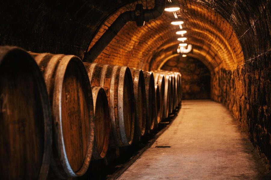 Guided wine tasting at Rókusfalvy Estate - Entering the Press House: Your Four-Item Tasting Setup