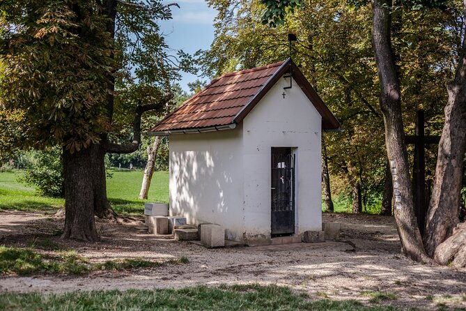 Hiking + Chairlift ride + viewpoints in Budapest - Normafa Forest Walk: Giant Trees, Green Space, and Local-Style Breaks