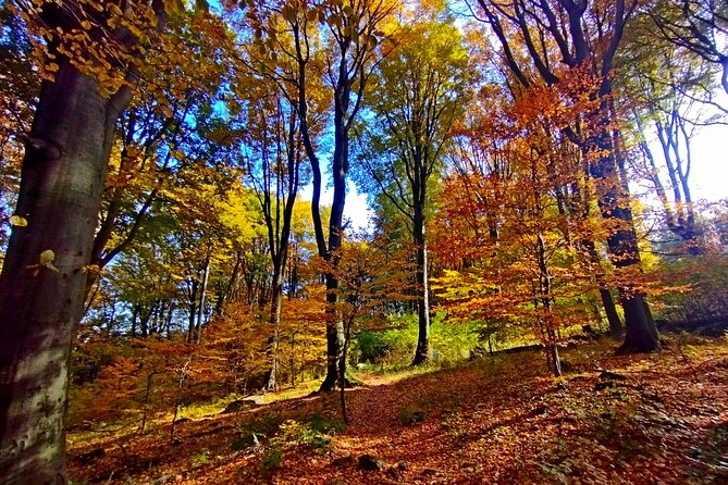 Hiking Tour to the Peak of Hungary - Kekesteto TV Tower: the “top of Hungary” payoff