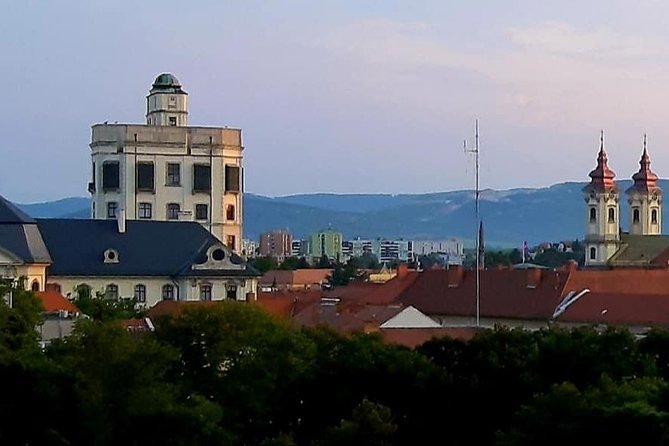 Home to Bull's Blood red wine! Eger with winetaste private tour - Timing, comfort tips, and how to pace your day