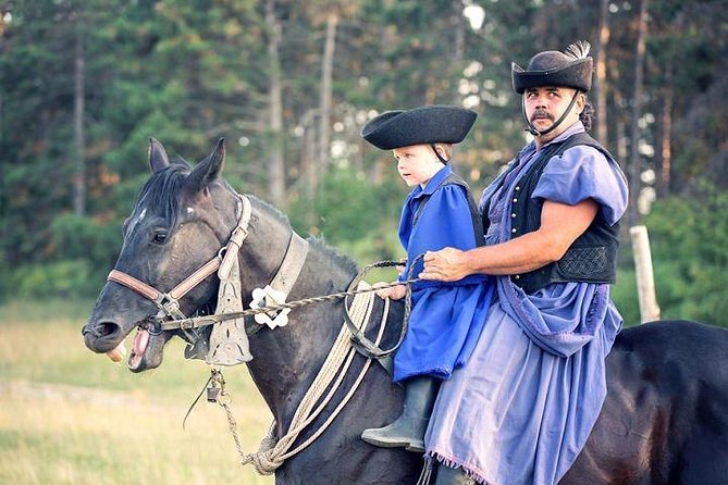 Horseshow on the Hungarian Puszta, private tour from Budapest with entry! - Key highlights of the Hungarian puszta horse show day