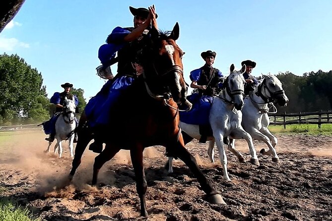 Horseshow on the Hungarian Puszta, private tour from Budapest with entry! - The horseshow: horsemanship, carriages, humor, and music