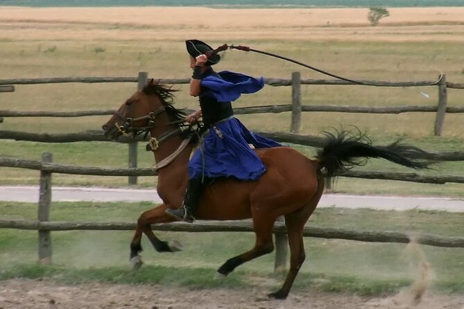 Horseshow on the Hungarian Puszta, private tour from Budapest with entry! - What it feels like to do this as a private group