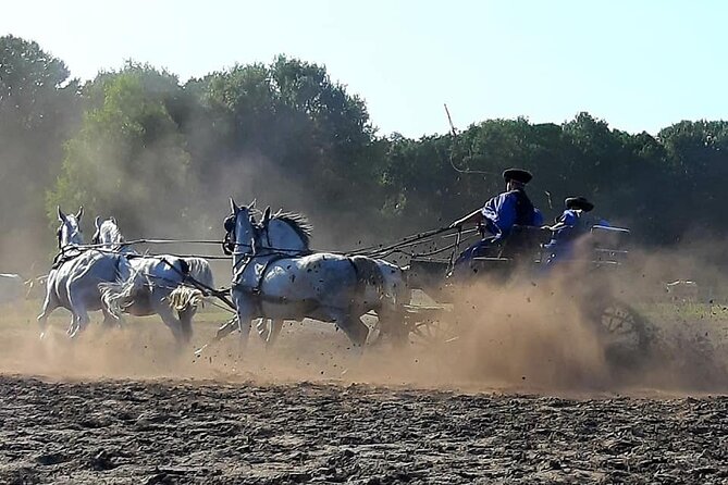 Horseshow on the Hungarian Puszta, private tour from Budapest with entry! - Smart tips to make the most of your puszta day