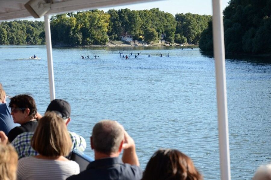Hungary: Full-Day Private Danube Bend Tour - The guide experience: private, multilingual, and sometimes you get a standout like Judit
