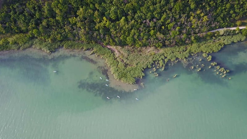 Lake Balaton 3 hour SUP tour - self-guided - What to bring: swimwear, drinks, and simple planning