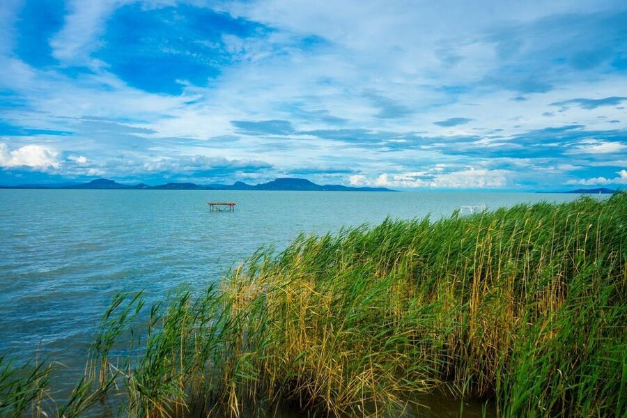 Lake Balaton and Herend Guided Tour - Balatonfüred Promenade, Spa-Town Buildings, and Stroll Time