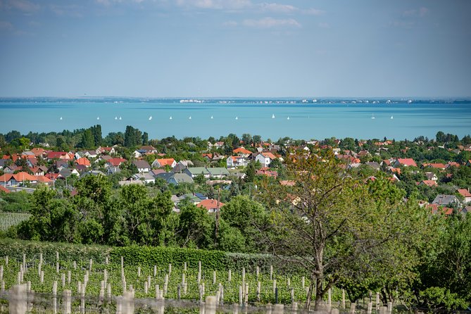 Lake Balaton Full Day Private Wine Tour - Why Lake Balaton feels like a real change of pace