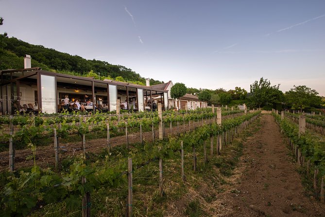 Lake Balaton Full Day Private Wine Tour - Winery tastings: what you get and how to enjoy up to 11-12 wines