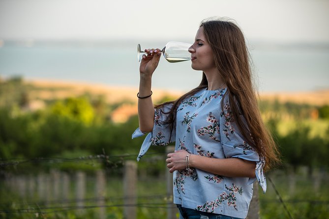 Lake Balaton Full Day Private Wine Tour - Timing on a 9-hour private day: where time feels tight