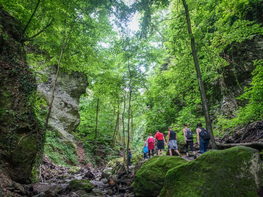 One Day Wonder Hike - The Essence of the Danube Bend - The Long Downhill Through a Wild Valley
