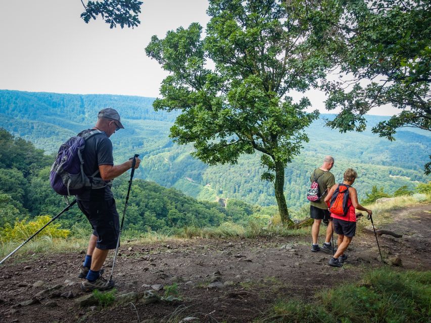 One Day Wonder Hike - The Essence of the Danube Bend - Budapest Pickup and an Air-Conditioned Van Ride Out of Town