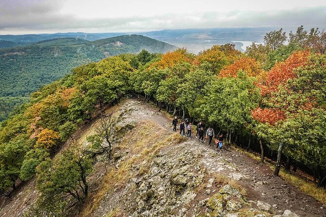 One Day Wonder Hiking Trip - Snacks and water included, but lunch is on you