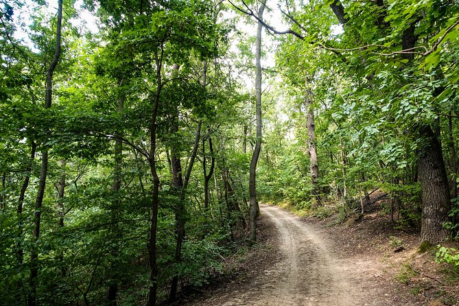Panoramic hike around Budapest - What you actually get for the price