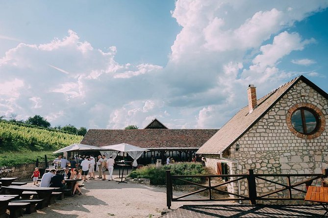 Private Etyek Wine tour with dinner including a Budapest Danube Evening Cruise - The Danube evening cruise: public boat, great night views, easy add-on