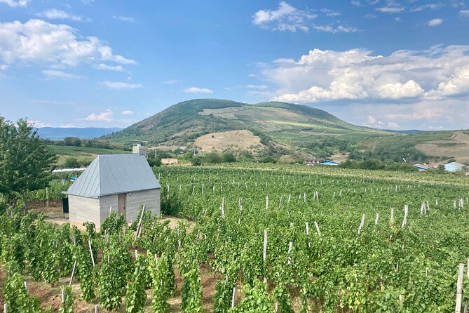 Private Full Day Tour to Eger - History, Culture and Wine - Szépasszony-valley Wine Country: How to Make the Tasting Time Count