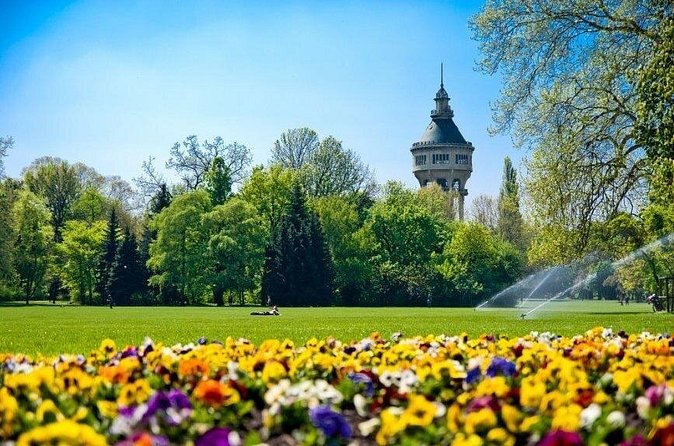 Private Stag Do Tour: Fun E-Scooter Ride with Games in Budapest - Price and what you actually get for $72.13