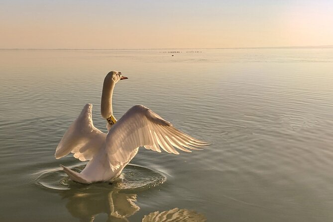 Private tour from Budapest to a top hidden treasure region of Europe: Lake Balaton - What You Pay For: Price, Food, and the Optional Wine Tasting