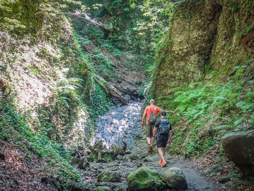 Ram Gorge Hiking Adventure - Forest shade and animal spotting, what to watch for
