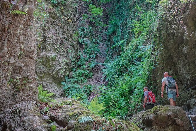 Ram Gorge Hiking Adventure Natures Playground Near Budapest - From Budapest To Dömös: Getting Into Real Nature Fast