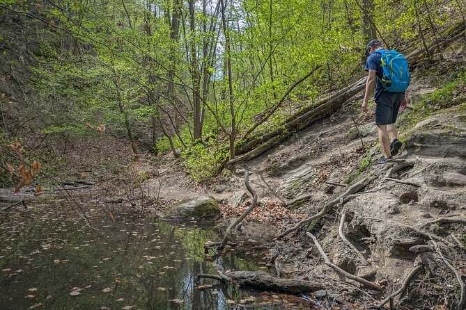 Ram Gorge Hiking Adventure Natures Playground Near Budapest - Price and Value Around $112: What You’re Paying For